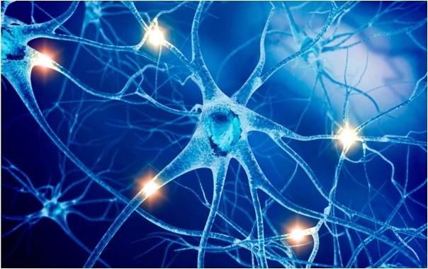 Boli_neurologice
